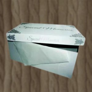 Wedding Dress Box - Cream & Silver 33' L x 23' W x 9' H Single Box