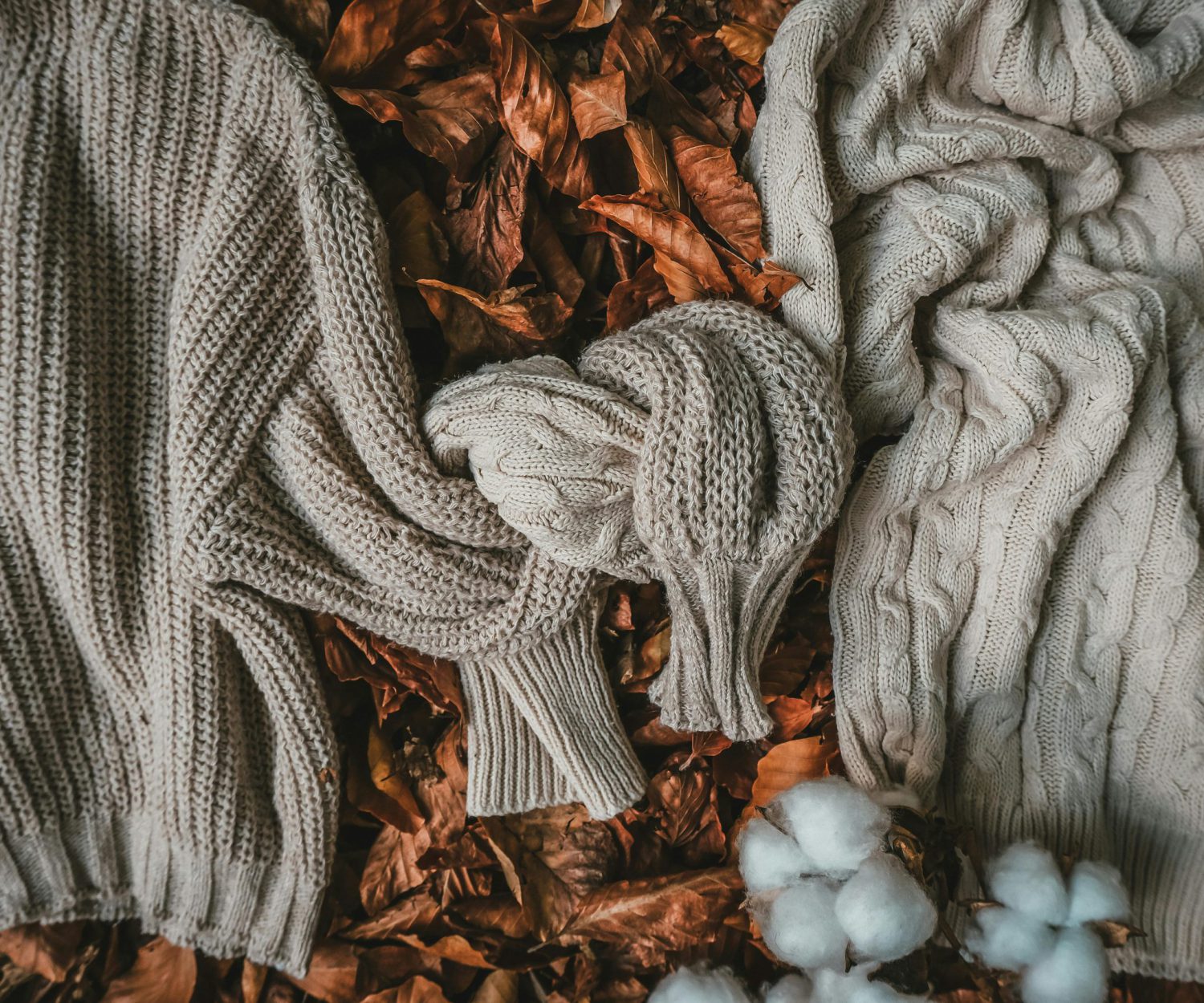 pexels-helloaesthe-19112315